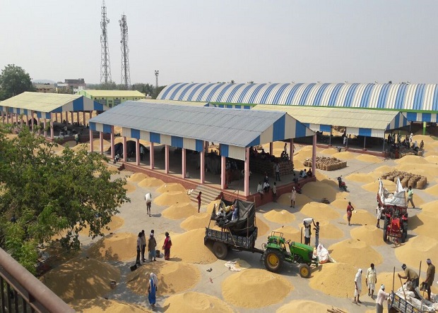 Department Of Agricultural Marketing Telangana department-of-agricultural-marketing-telangana